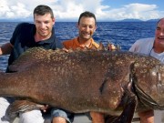 Newquay Deep Sea Fishing Stag Do